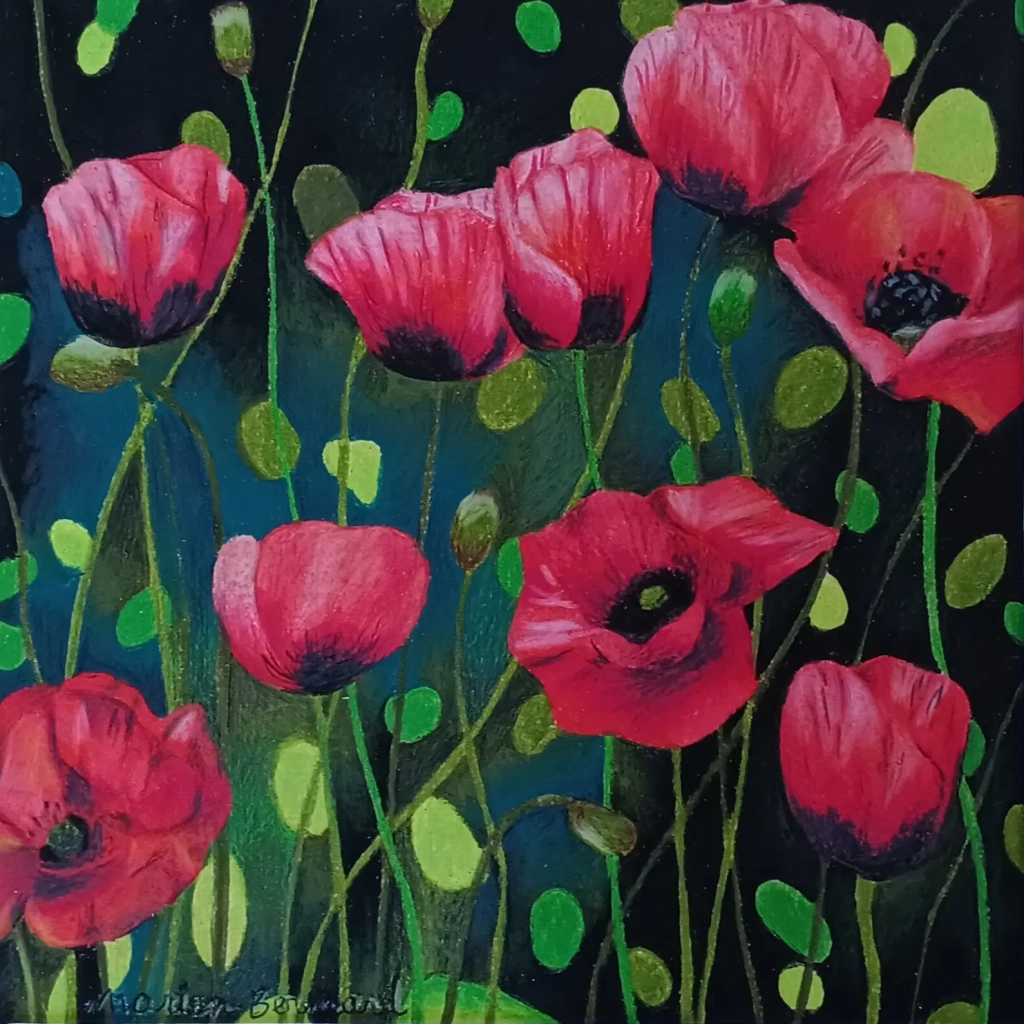 Pavots - Crayons de couleur sur papier - 30x30
