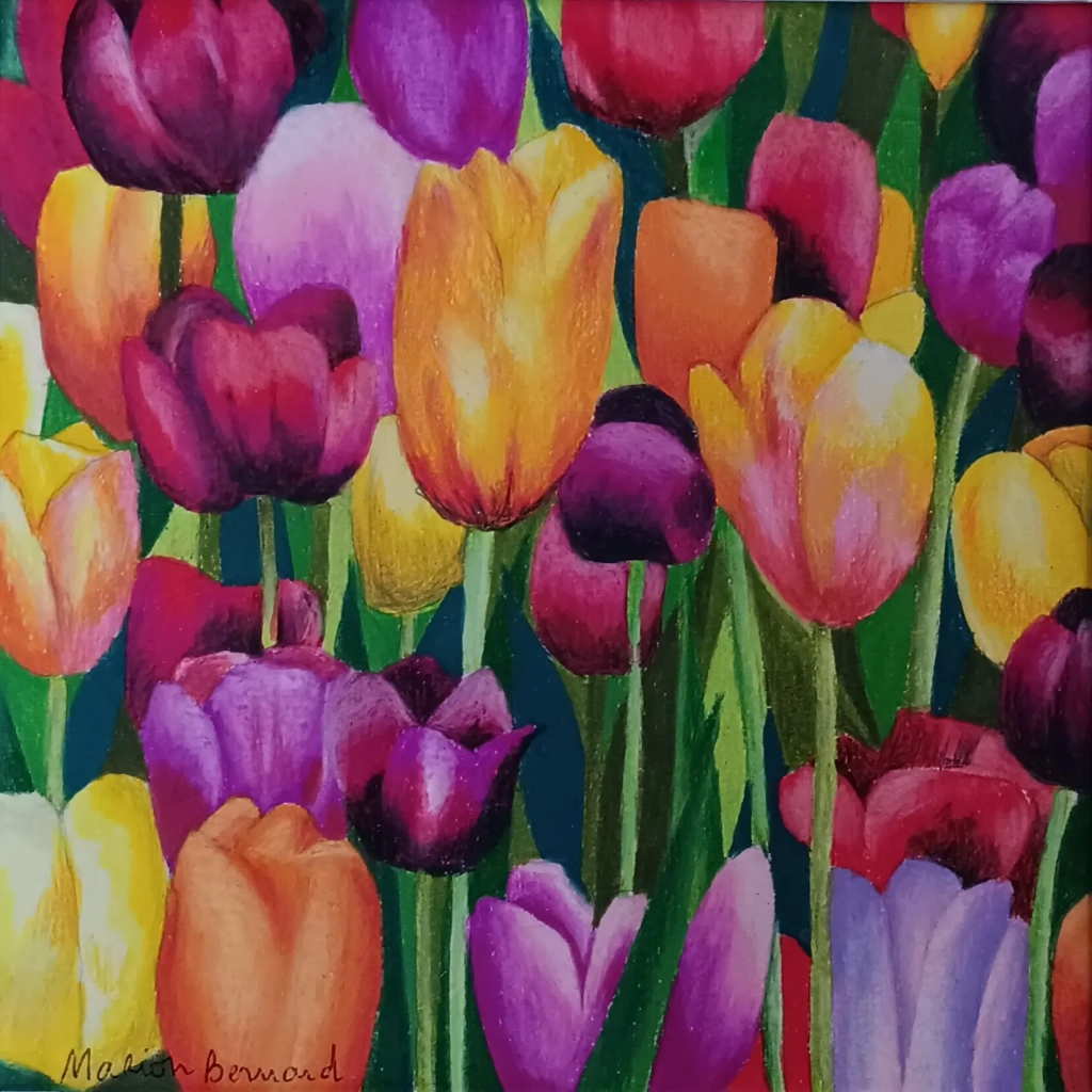 Tulipes - Crayons de couleur sur papier - 30x30